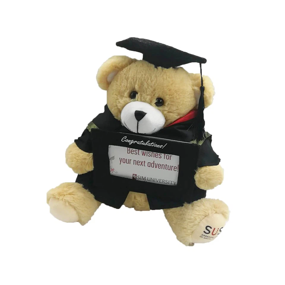 Graduation Teddy Bear